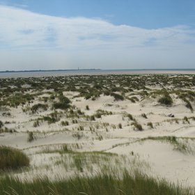 New dunes