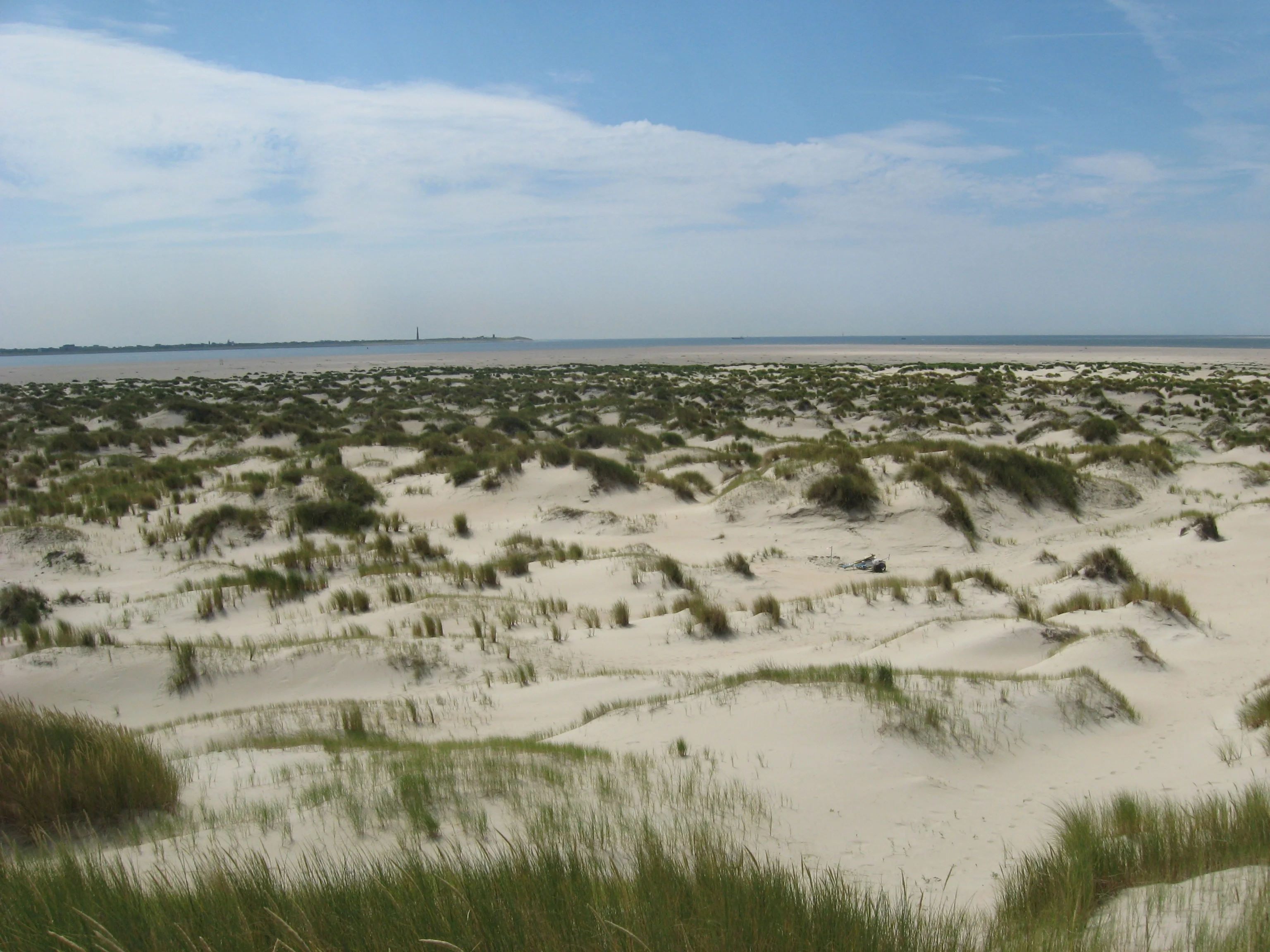 New dunes