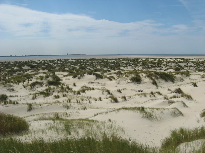New dunes