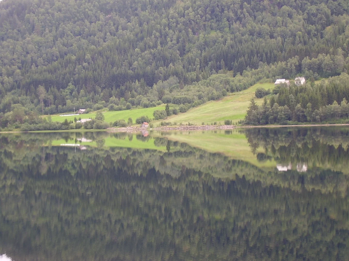 Specular landscape