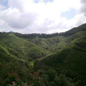 BEF China - Experimental Site A