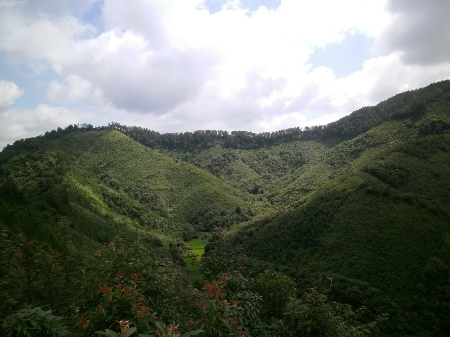 BEF China - Experimental Site A