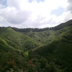 BEF China - Experimental Site A