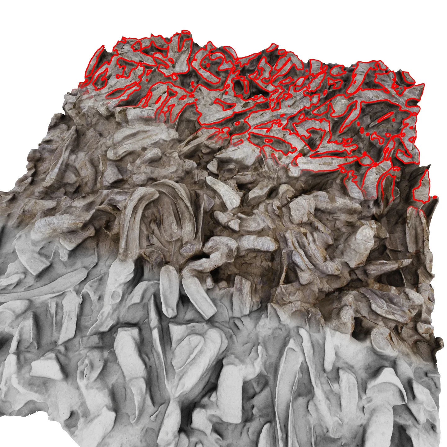 High resolution 3D surface modeling of fossil oyster reef