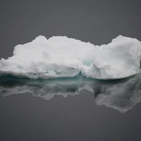 Floating sea ice
