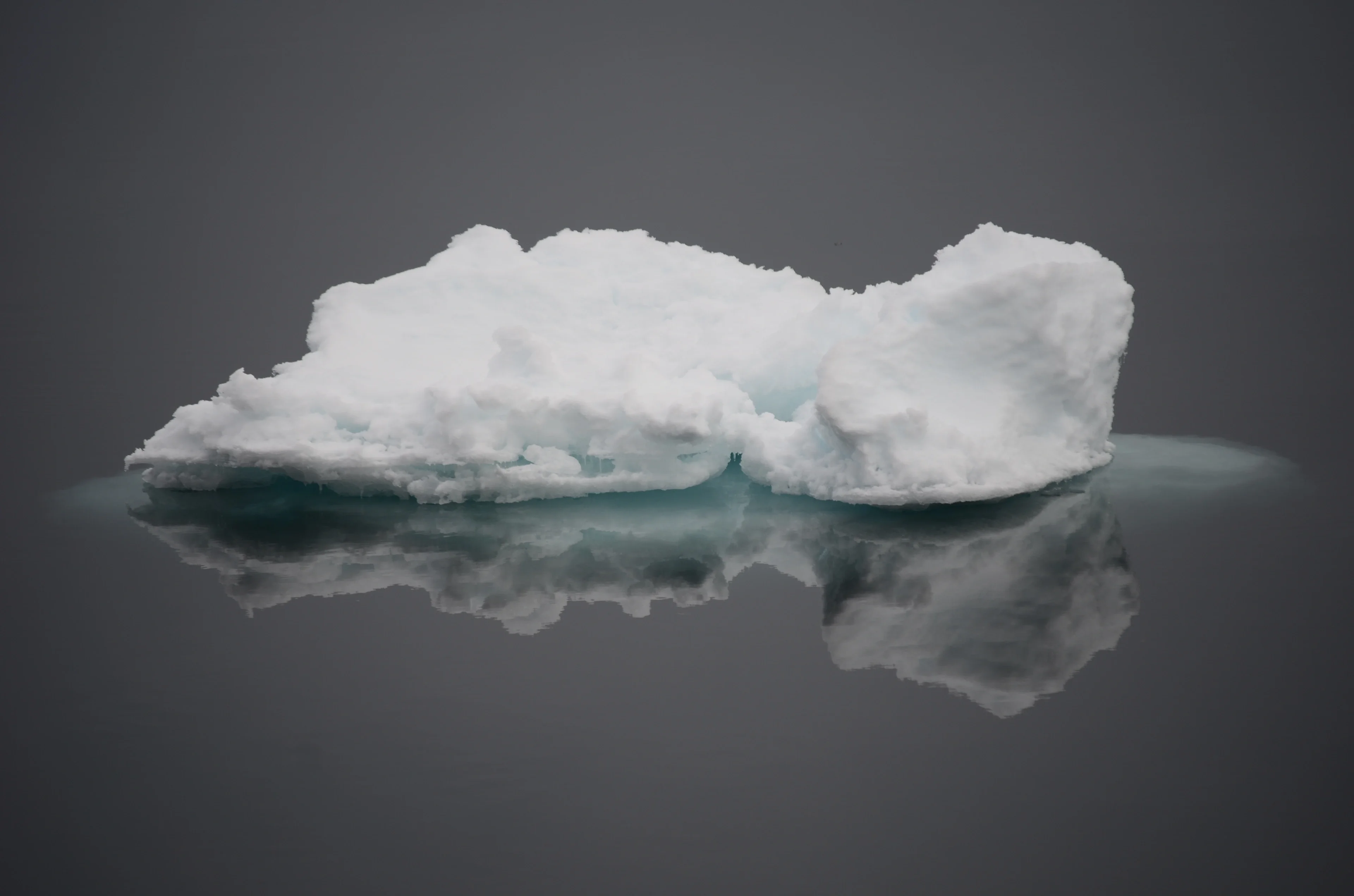 Floating sea ice