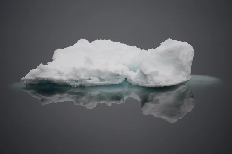 Floating sea ice