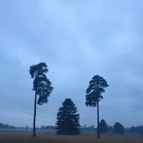 Twilight