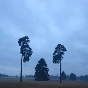 Twilight