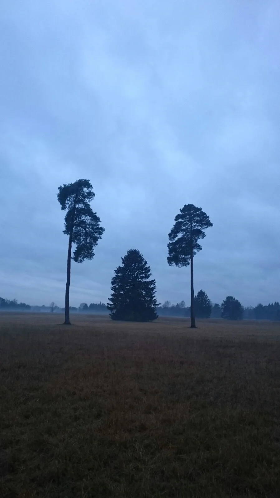 Twilight
