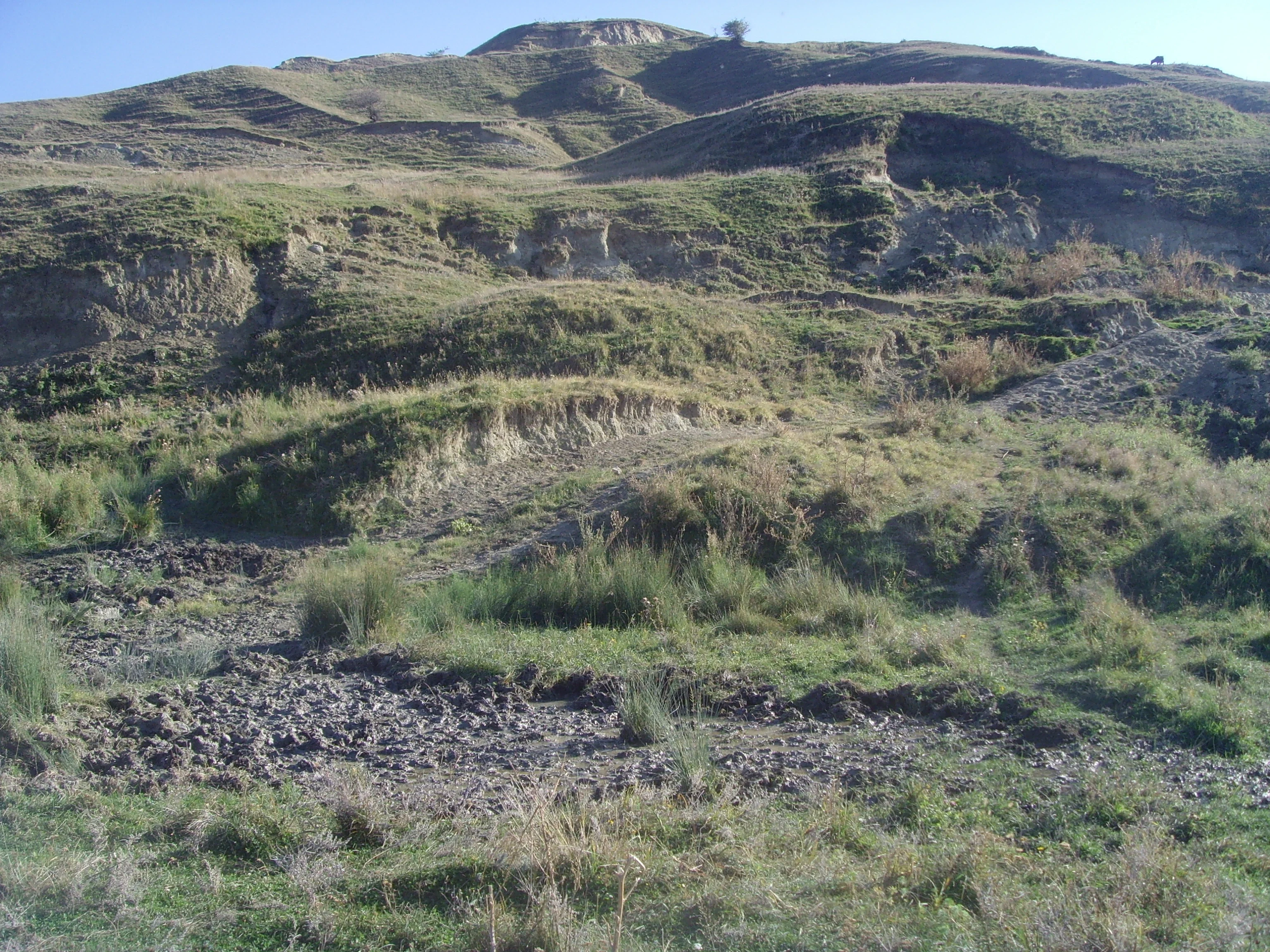 Degraded pasture from Plopana Bacau, Eastern Romania