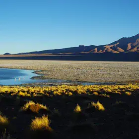 Laguna Pastos Grande