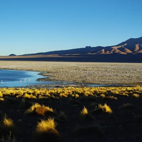 Laguna Pastos Grande