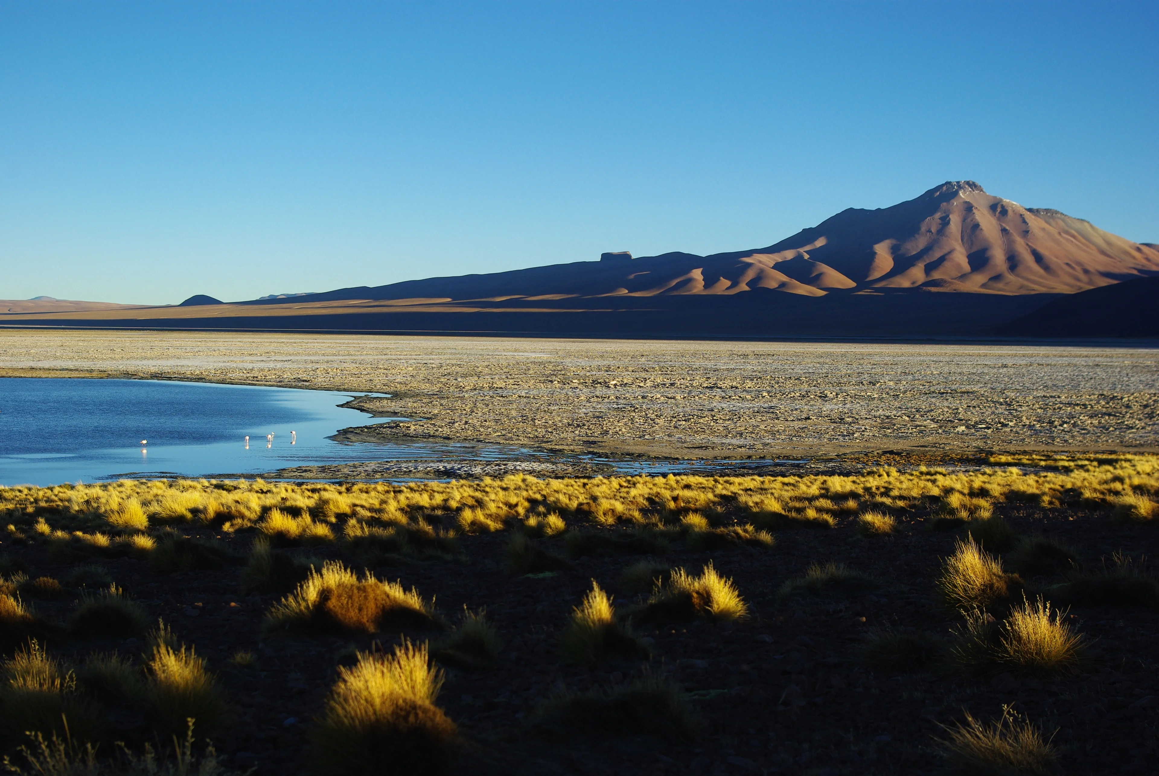 Laguna Pastos Grande