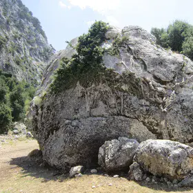 Fall in rock, hold in plant
