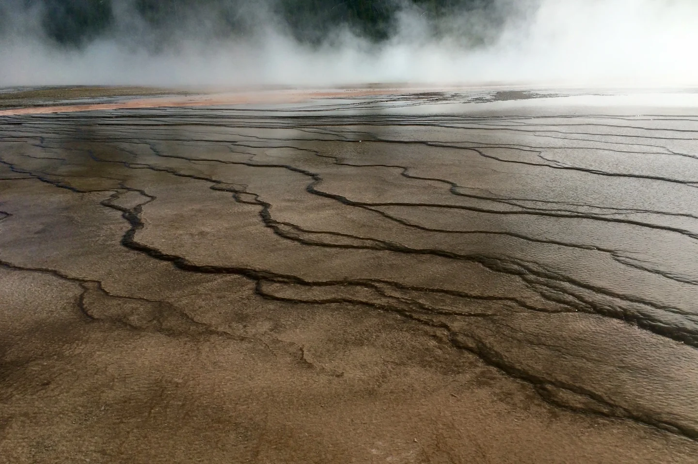 Warm earth