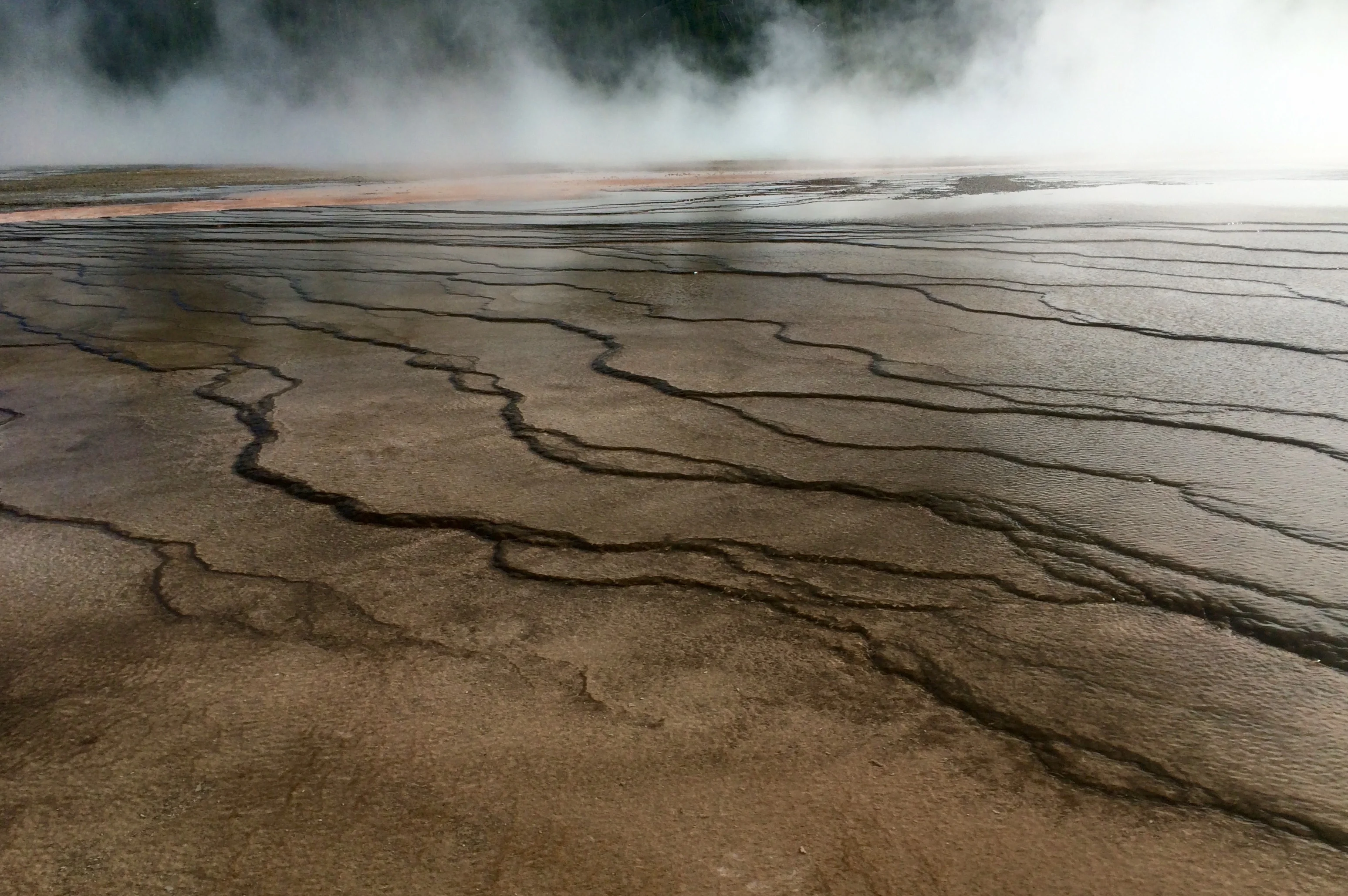 Warm earth
