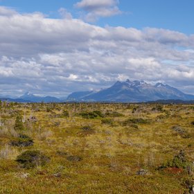 Oceanic ombrotrophic peatland at the Seno Skyring Fjord, Patagonia, Chile