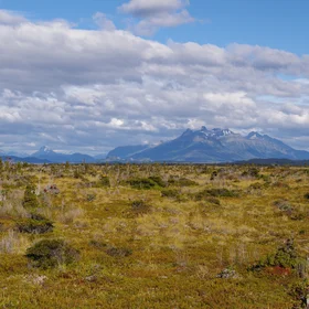 Oceanic ombrotrophic peatland at the Seno Skyring Fjord, Patagonia, Chile