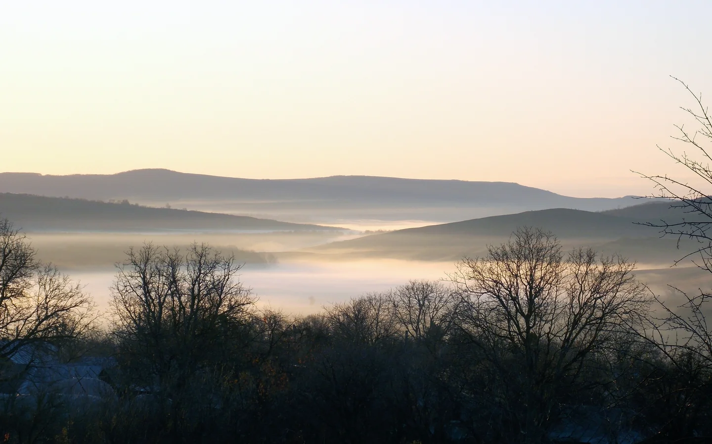 Fog conturing of a vally