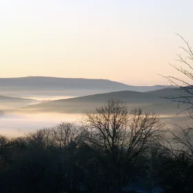 Fog conturing of a vally