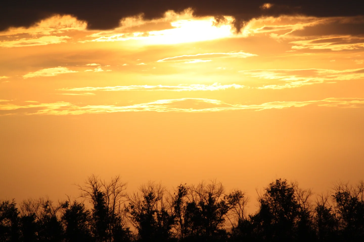 Golden sunset