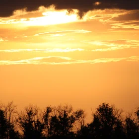Golden sunset