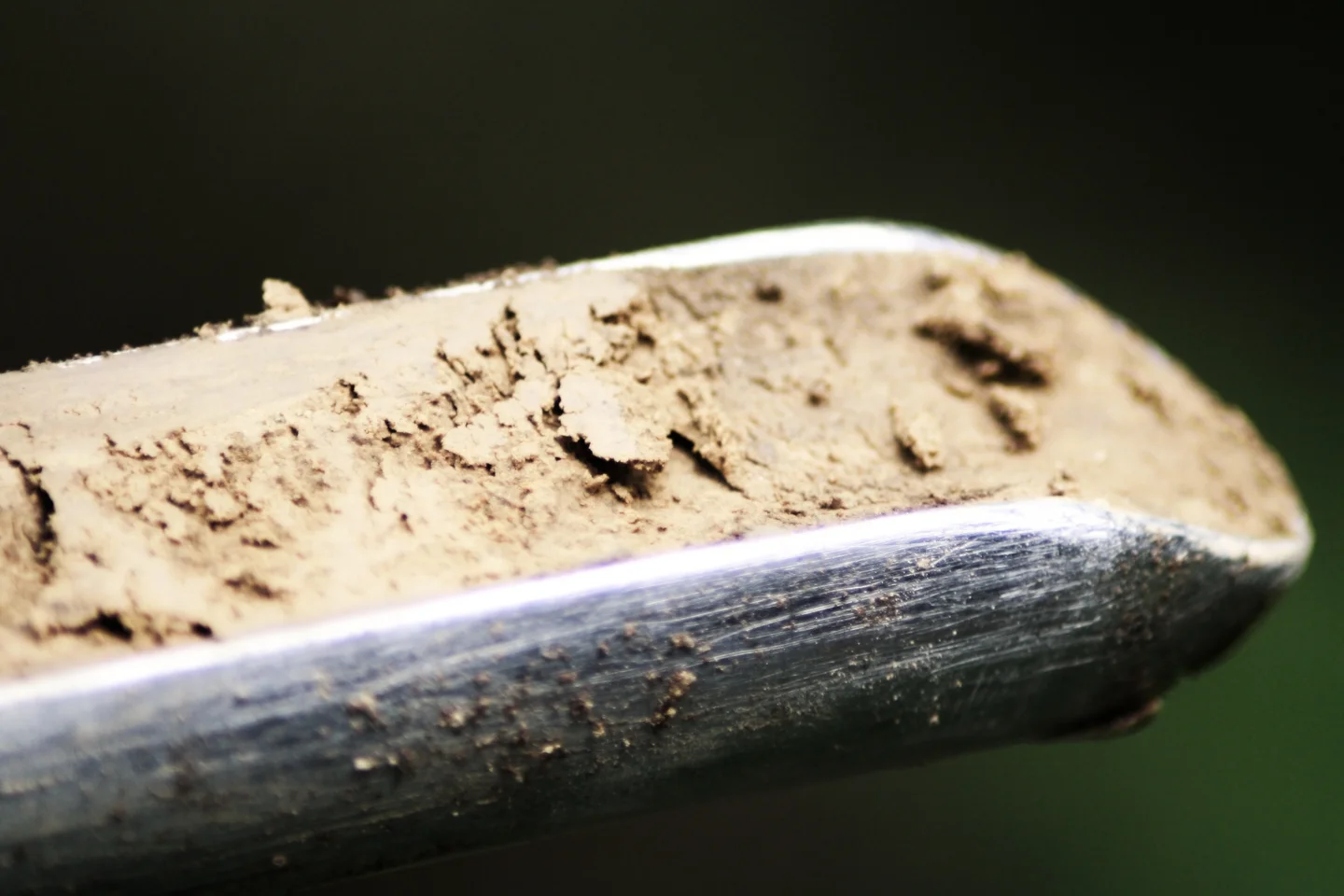Clay-enriched subsoil of a Cambisol