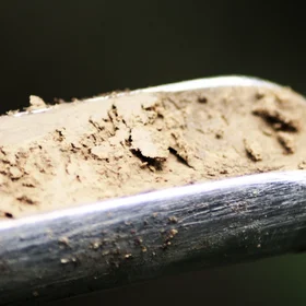 Clay-enriched subsoil of a Cambisol