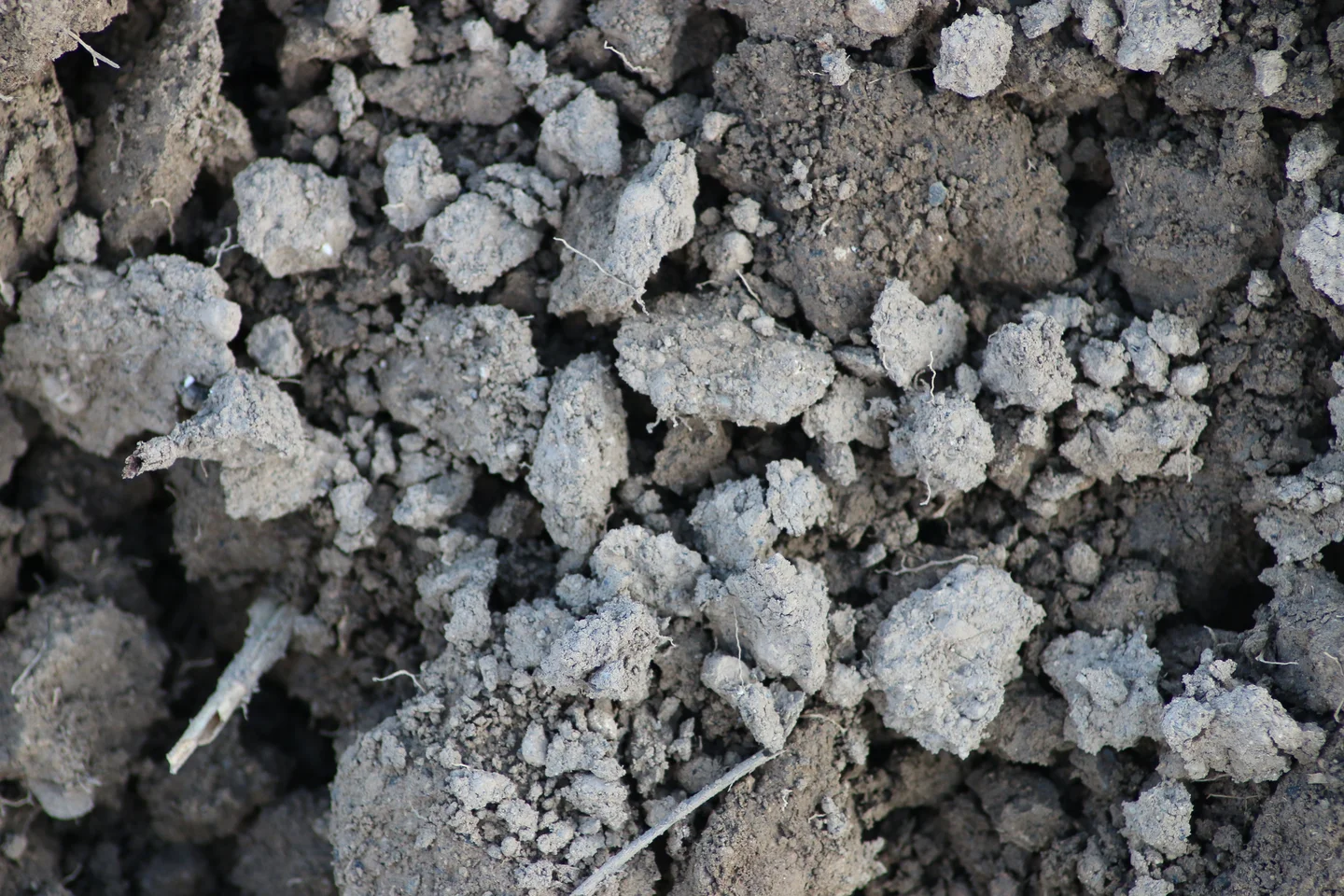 Soil aggregates on a plowed field