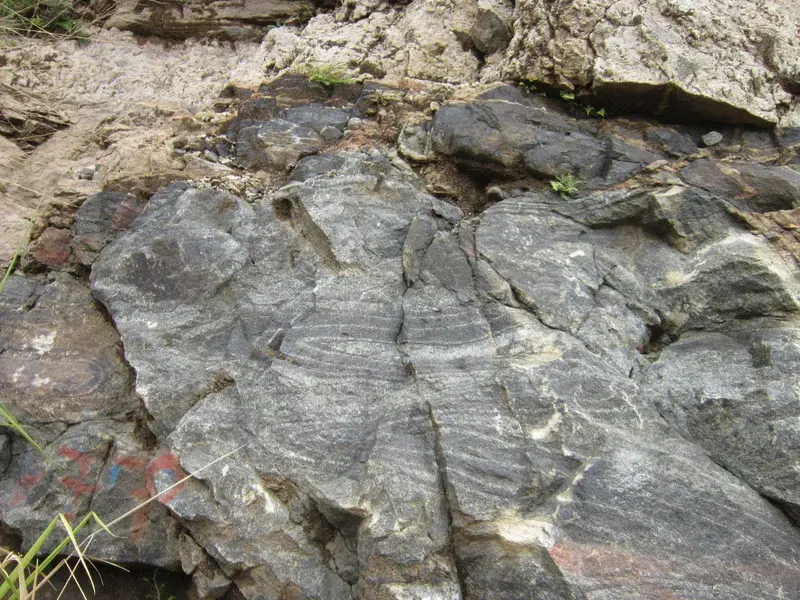 Minor recumbent folds in charnockite (metamorphic) rock in Sri Lanka