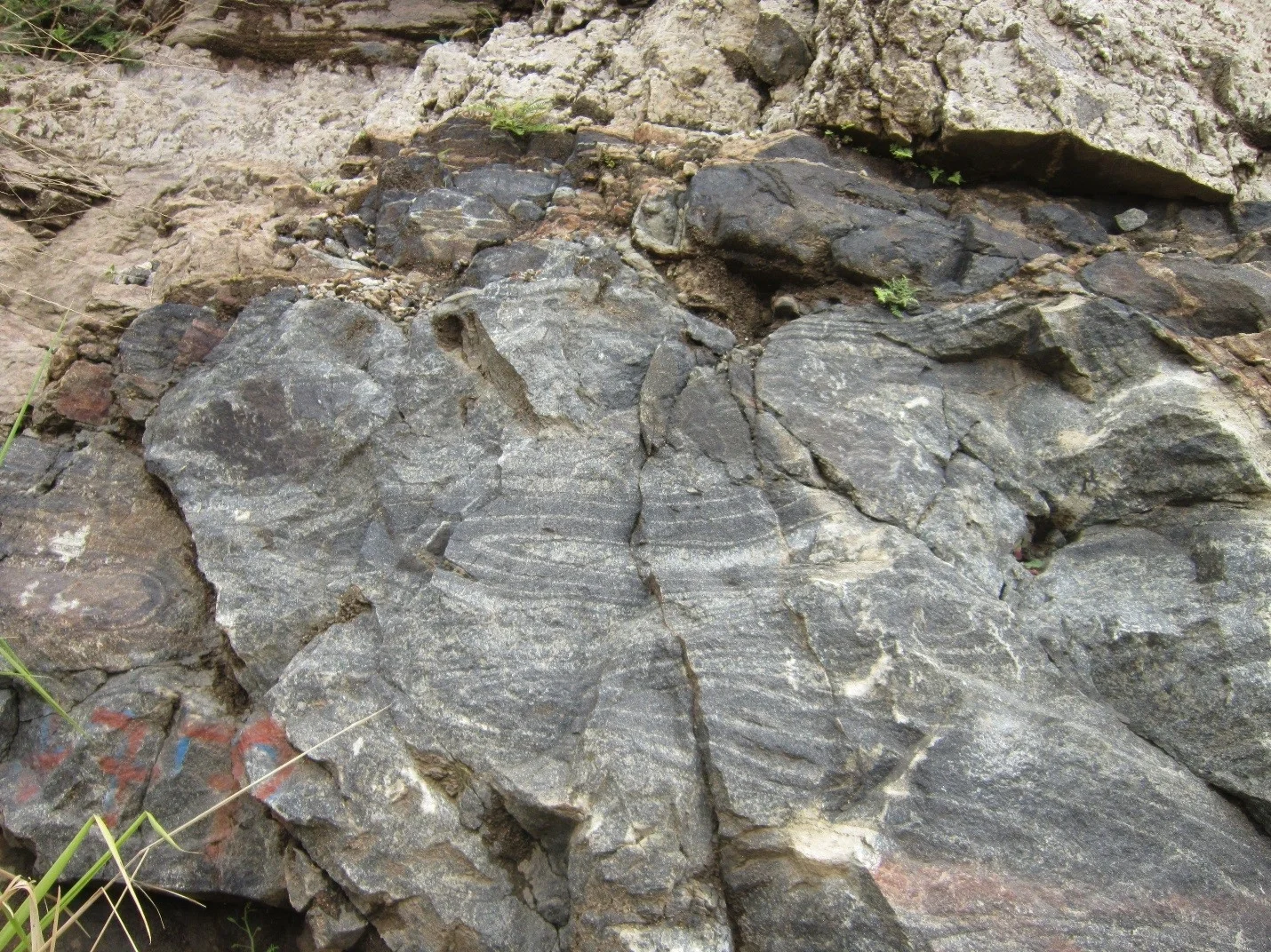 Minor recumbent folds in charnockite (metamorphic) rock in Sri Lanka