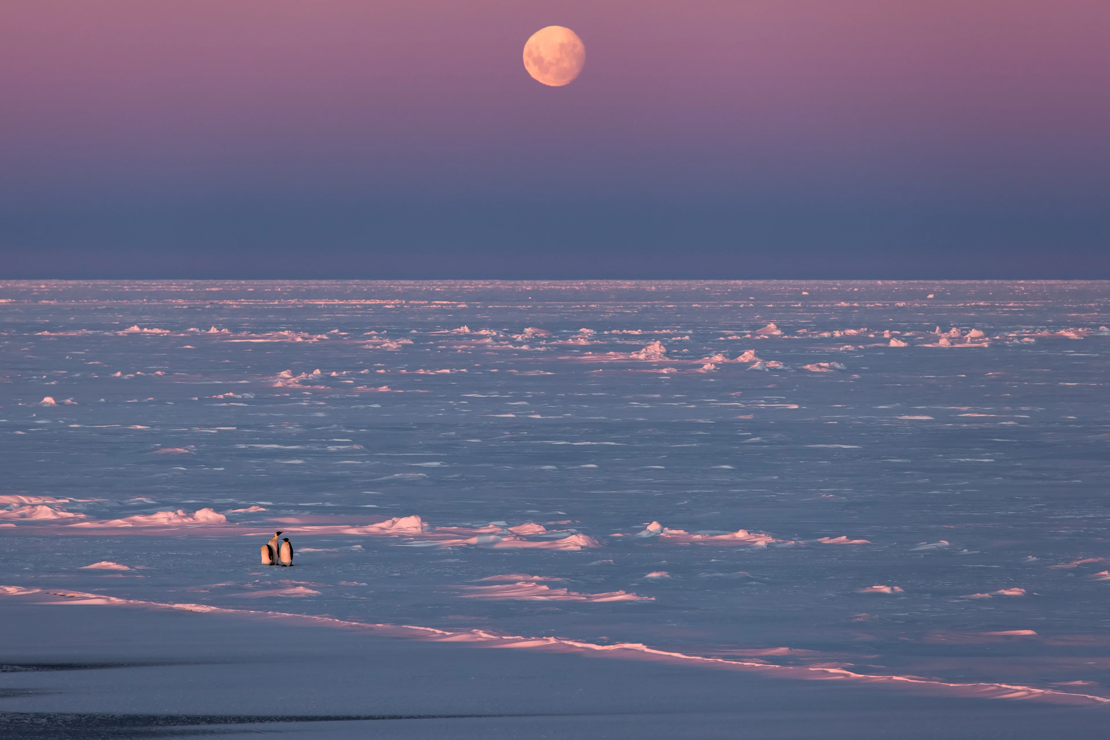 Solitude