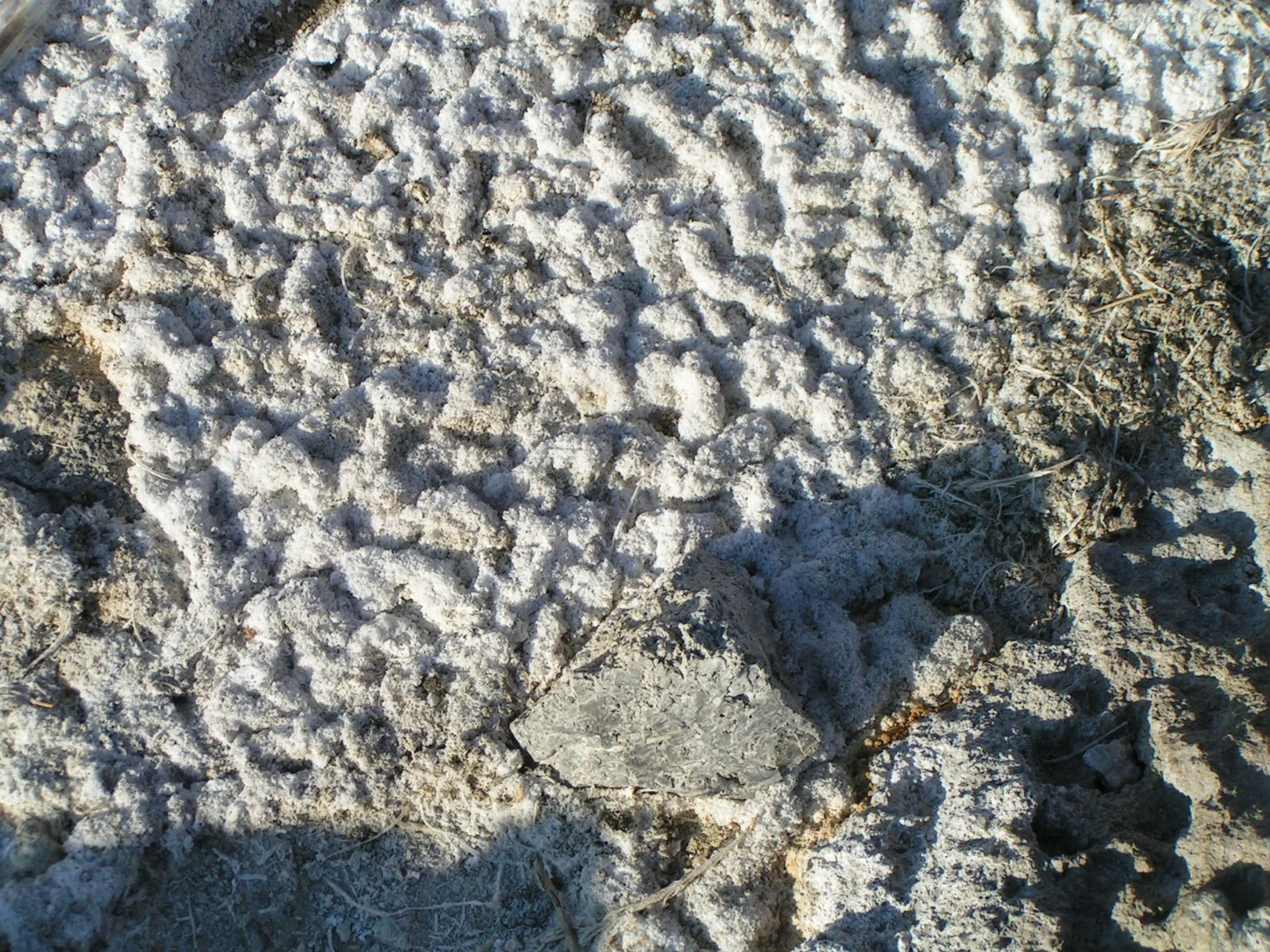 Geothermal soils