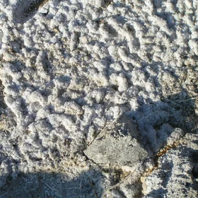Geothermal soils