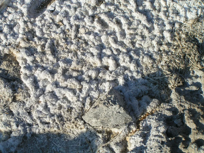 Geothermal soils