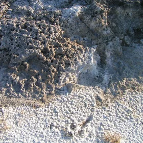 Geothermal soils