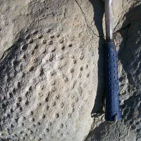 Pitted stromatolites