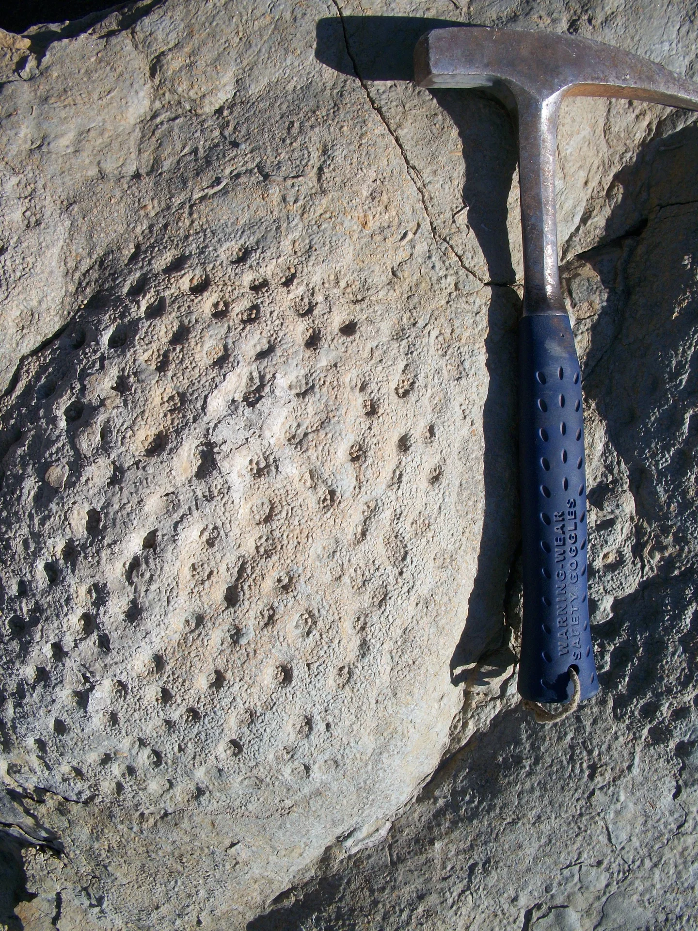 Pitted stromatolites