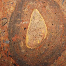 Cambrian oncolite