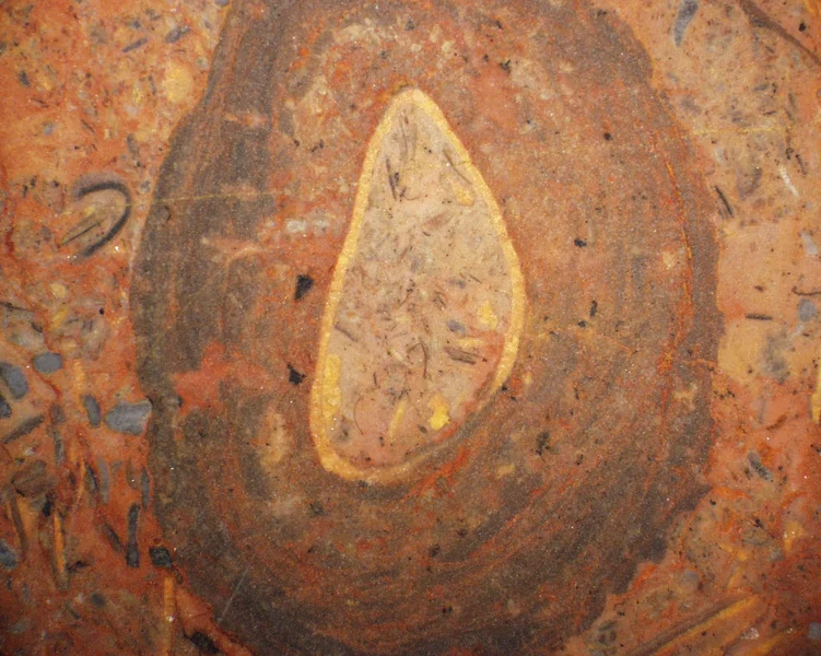 Cambrian oncolite
