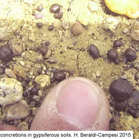 Iron-rich concretions