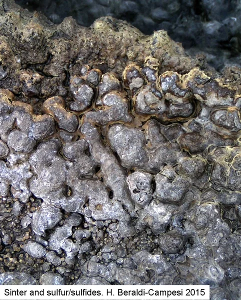 Sulfur-rich coating on a newly-formed siliceous sinter
