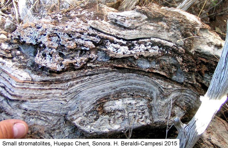 Huepac stromatolites