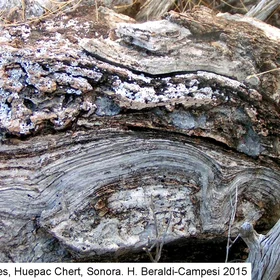 Huepac stromatolites