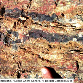 Black chert
