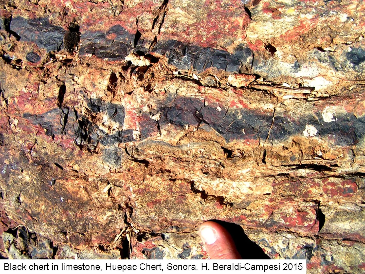 Black chert