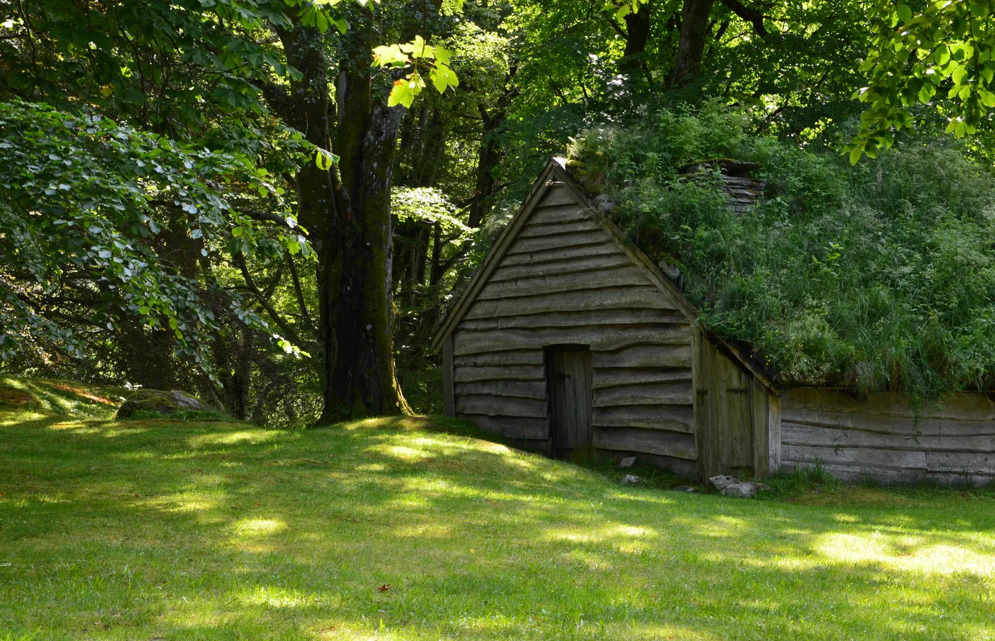 House in Green