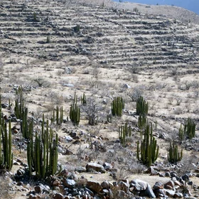 Pre-Hispanic agriculture practices on soils in the Western Cordillera of the Peruvian Southern Andes