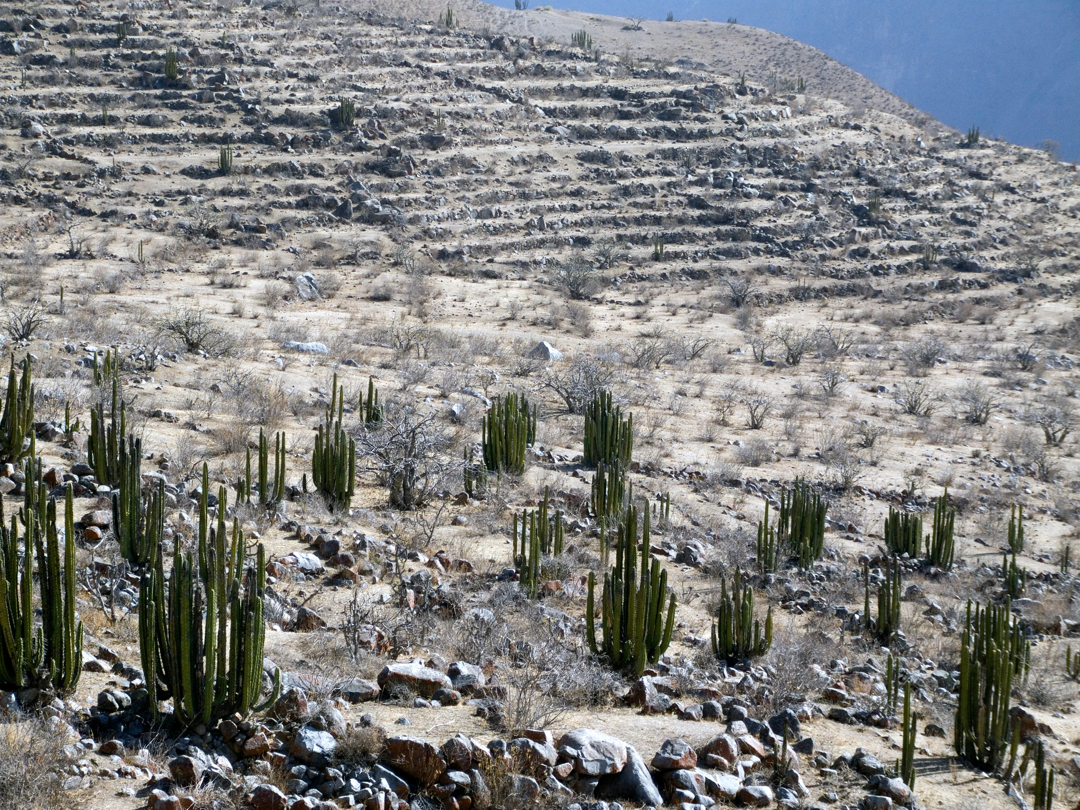 Pre-Hispanic agriculture practices on soils in the Western Cordillera of the Peruvian Southern Andes